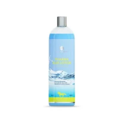 Pharmacare Pharma Blue Lotion