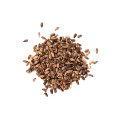 Phytology VetCare Chardon Marie pur Détox Cheval Discount