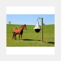 Piège à Taons TaonX Eco KERBL Sale