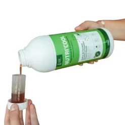 Ravene Nutri'Cool Solution New