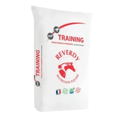 Reverdy Training (prix dégressif) Online