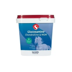Sectolin Glucosamine, Chondroitine & MSM Outlet