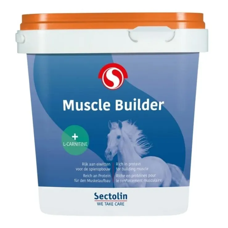 Sectolin Muscle Builder Outlet