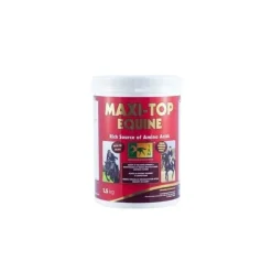 TRM Maxi Top Maintien Musculaire Cheval Clearance
