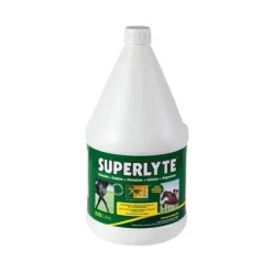 TRM Superlyte Sirop Electrolytes Cheval Sale