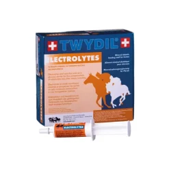 Twydil Electrolytes Seringue ou Poudre Online