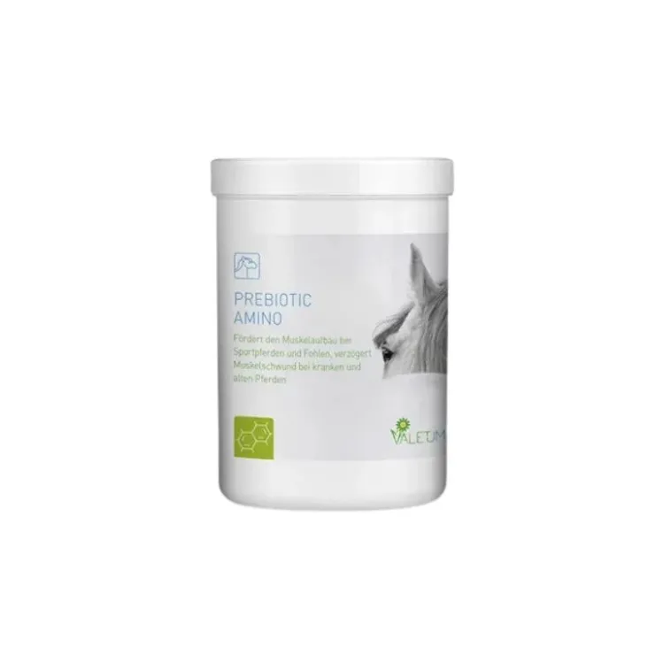 Valetumed Prebiotic Amino Développement musculaire Outlet