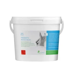 Valetumed Prebiotic Intestinum Digestion Cheval Best
